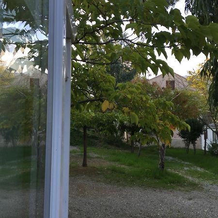 Camping Les Orangers San-Martino-di-Lota Zimmer foto