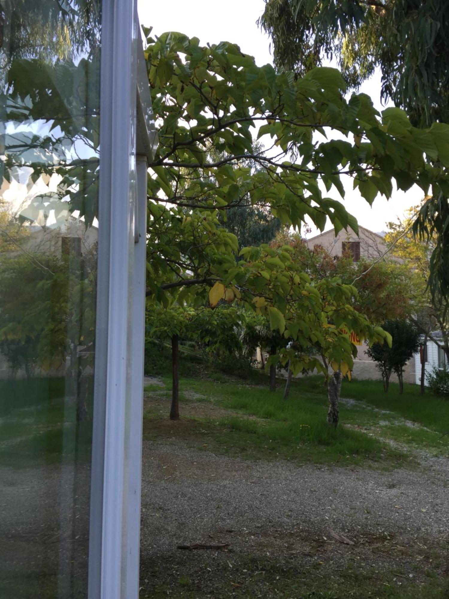 Camping Les Orangers San-Martino-di-Lota Zimmer foto